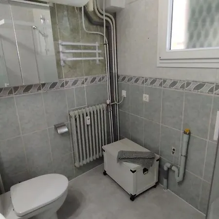 1 20' Walk Palais Wifi Apartman *