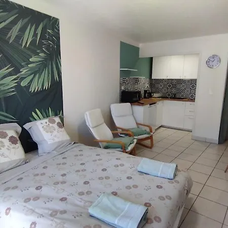 Apartment 1 20' Walk Palais Wifi