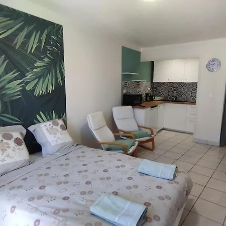 Appartement 1 20' Walk Palais Wifi Cannes