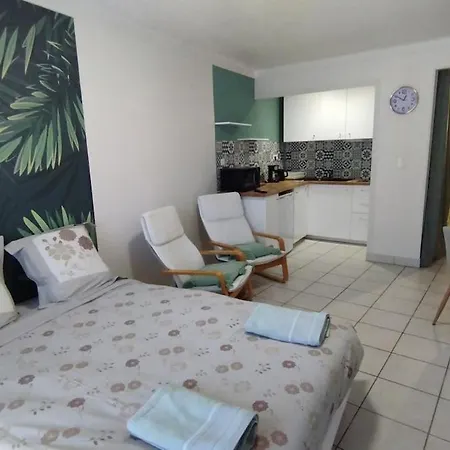 1 20' Walk Palais Wifi Appartement Cannes