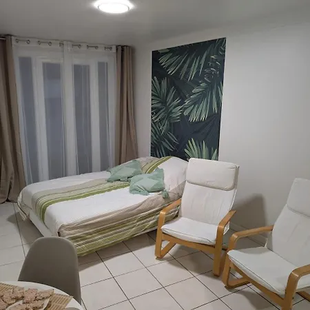 Appartement 1 20' Walk Palais Wifi Cannes